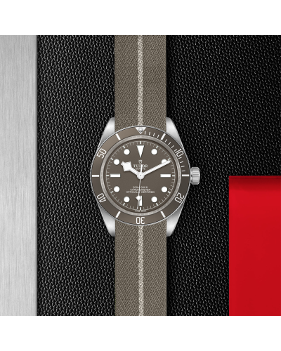 Tudor Black Bay Fifty-Eight 39 mm silver case, Taupe fabric strap (watches)